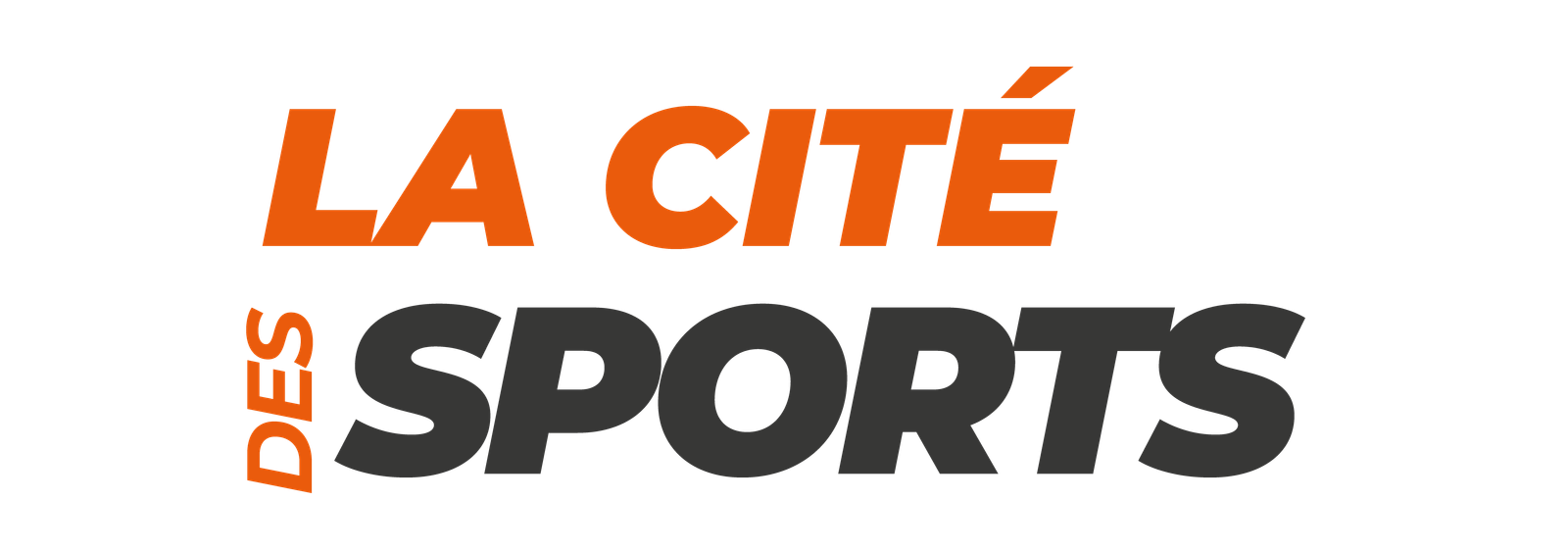 Logo-cité-des-sports copie